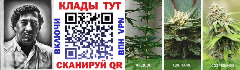 Продажа наркотиков Янаул НБОМе  COCAIN  ГАШ  kraken ONION  Канабис  Меф мяу мяу 