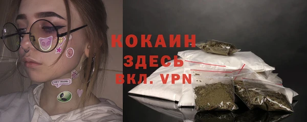 ECSTASY Дмитриев