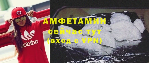индика Щучье