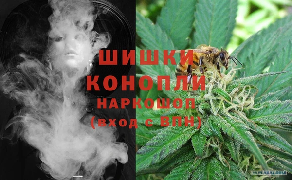 ECSTASY Дмитриев