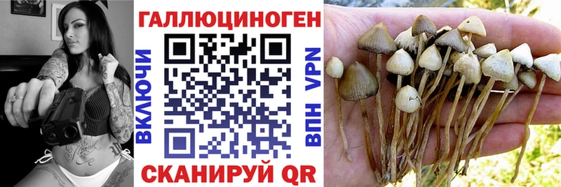 Псилоцибиновые грибы прущие грибы Янаул