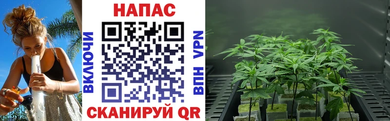 Канабис Bruce Banner Янаул